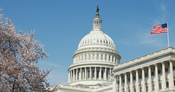 Capitol building in D.C.